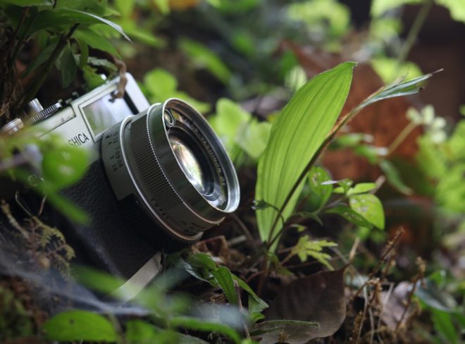yashica the camera 2939049 960 720