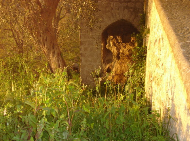 LocusAmoenus 1